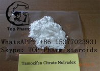 Citrato masculino Tamofen Nolva do Tamoxifen dos esteroides do realce de CAS 54965-24-1
