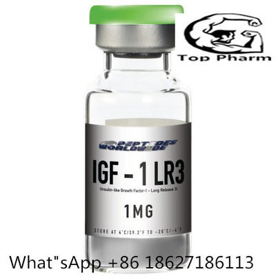 Peptide maciço liofilizado 170851-70 da hormona de crescimento humano do músculo da carne sem gordura do aumento do pó de IGF-1 LR3 CAS para o halterofilismo